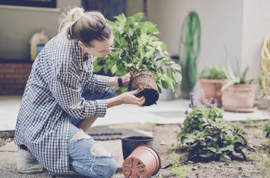 century21-xerojardineria